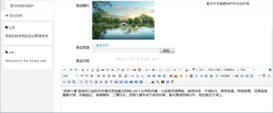 javaweb后臺管理系統設計與開發 旅游自助系統